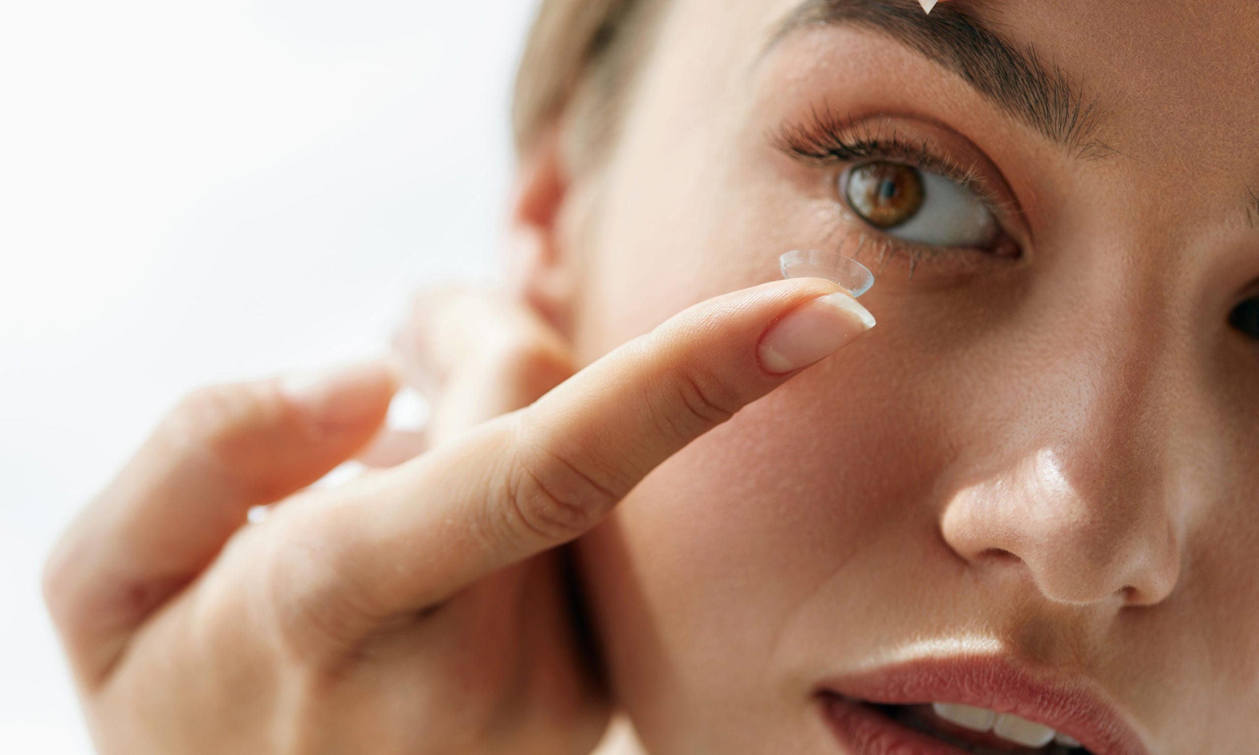 contacts