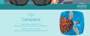 Carapace