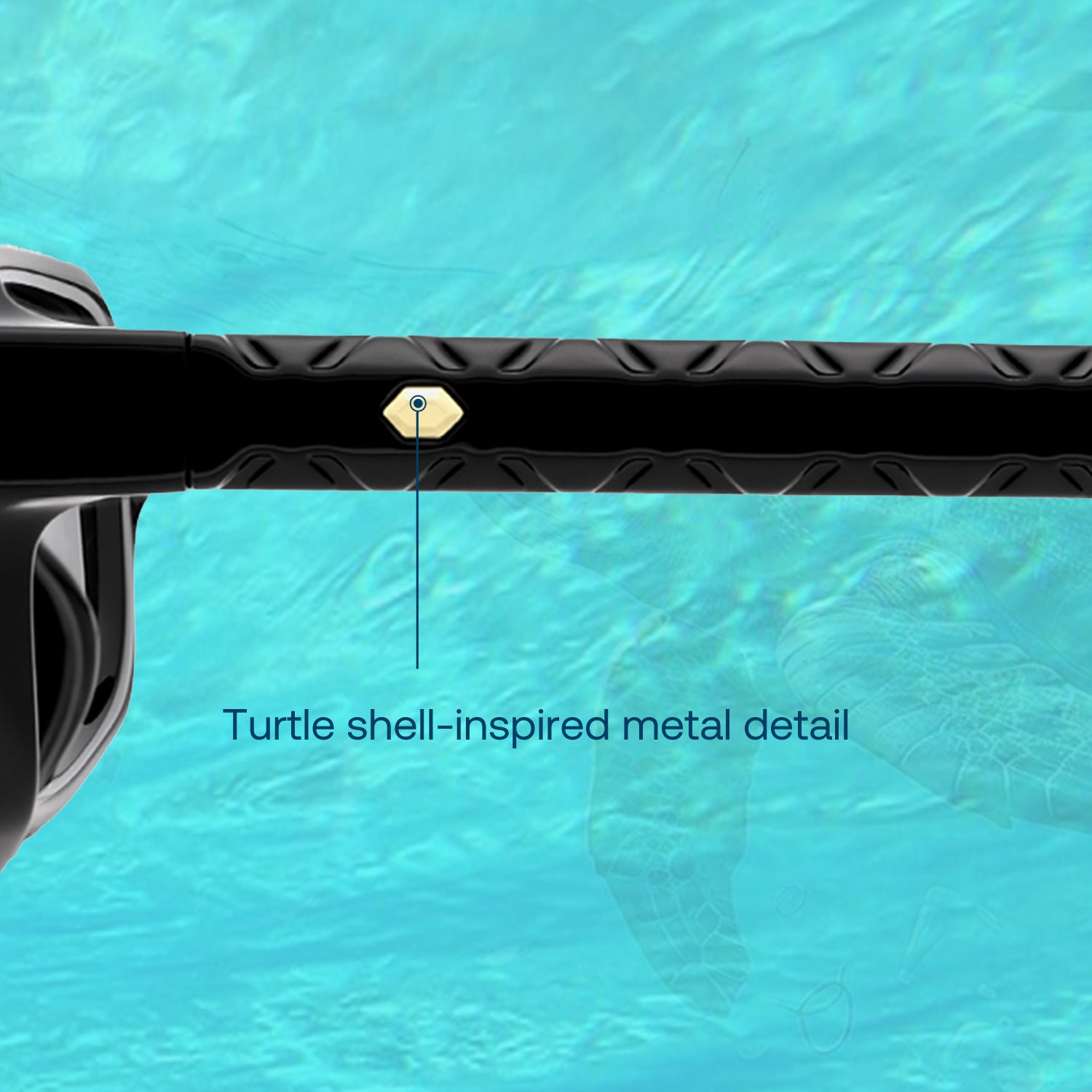 Carapace