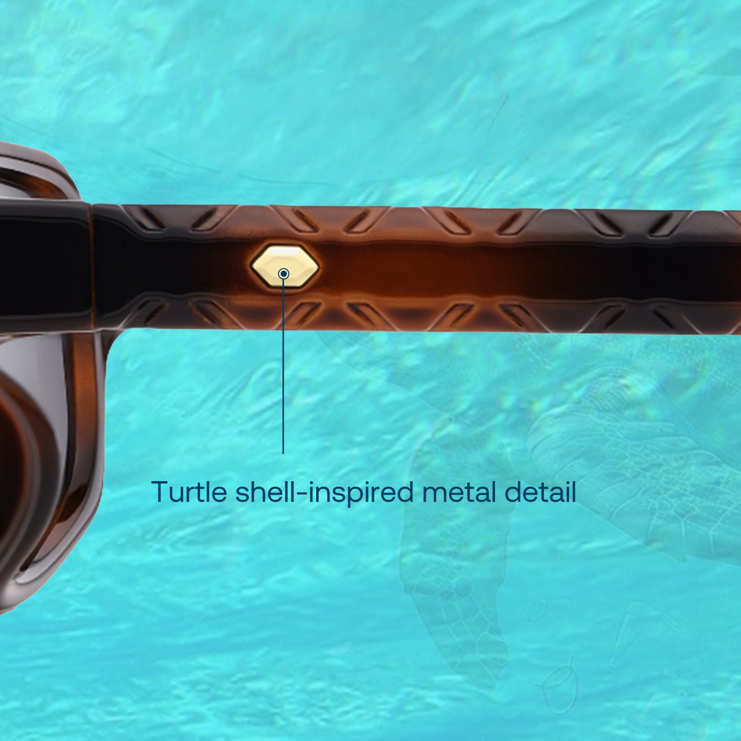 Carapace