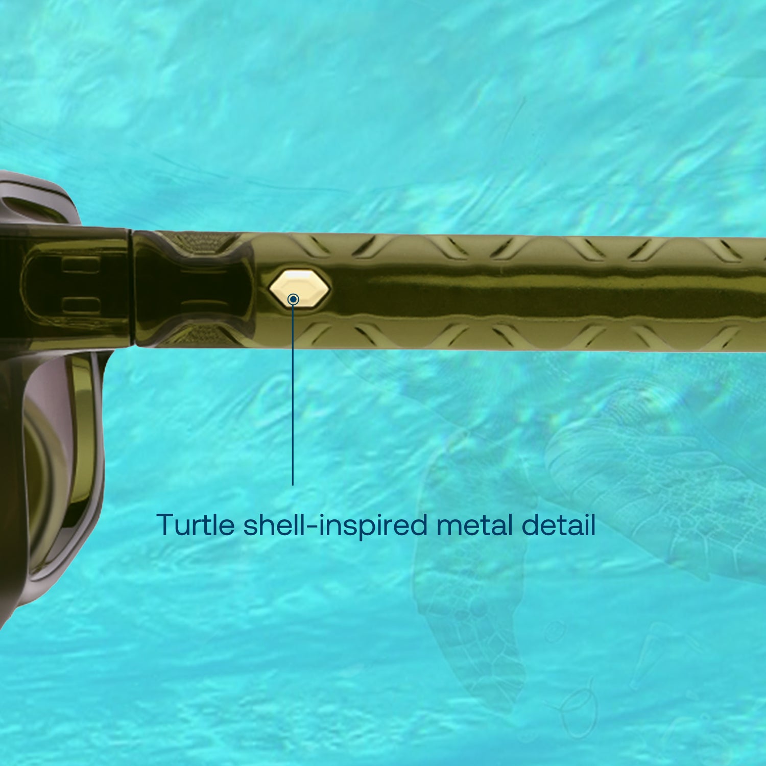 Carapace