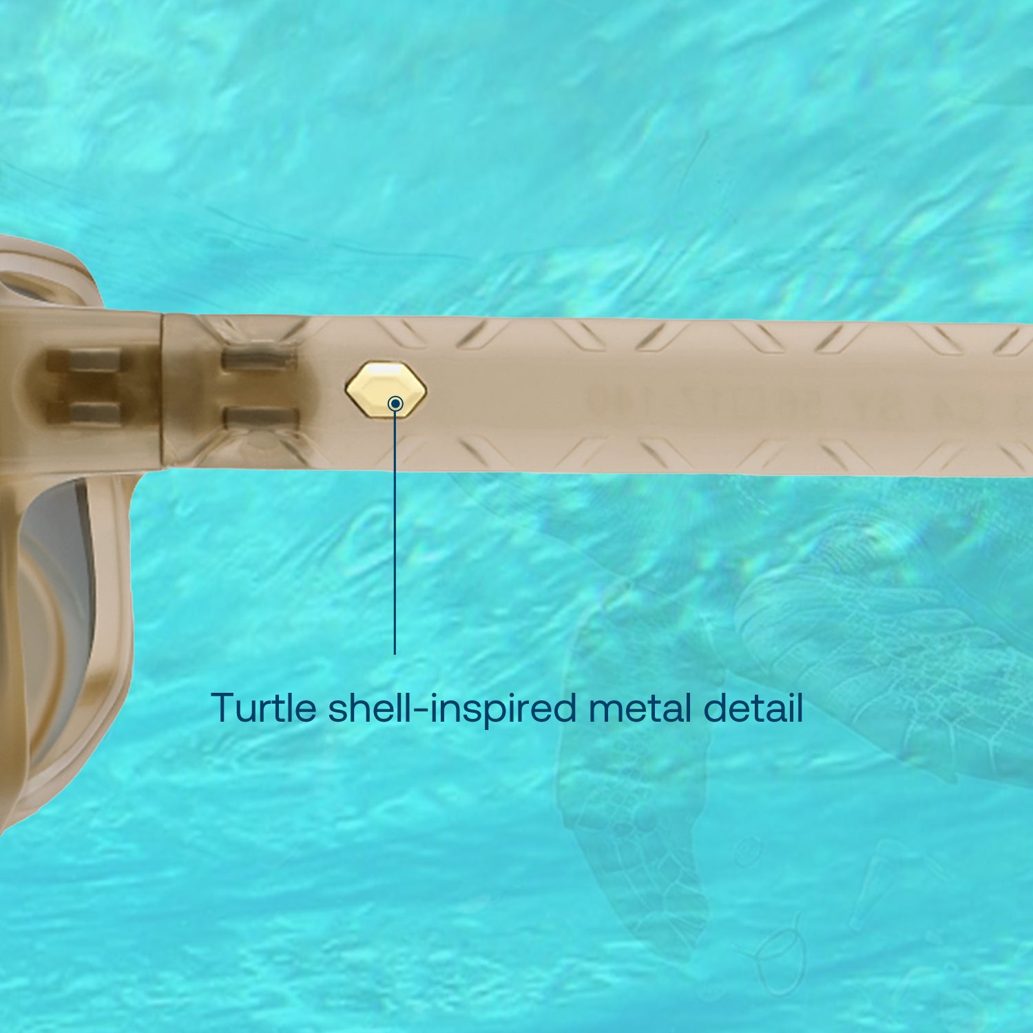 Carapace